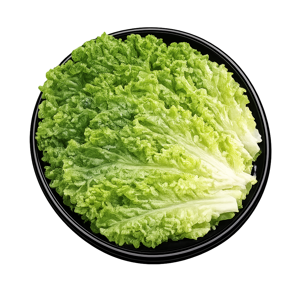 Green leaf lettuce